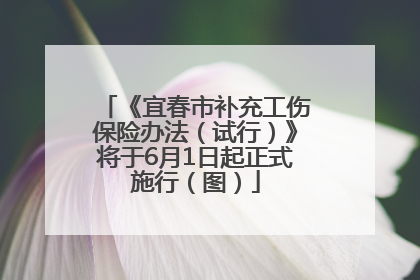《宜春市补充工伤保险办法（试行）》将于6月1日起正式施行（图）