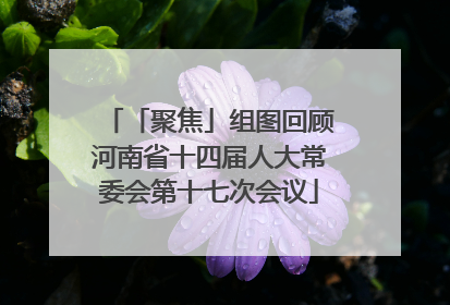 「聚焦」组图回顾河南省十四届人大常委会第十七次会议