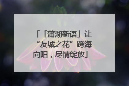 「蒲湖新语」让“友城之花”跨海向阳，尽情绽放