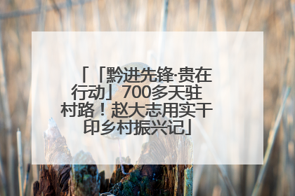 「黔进先锋·贵在行动」700多天驻村路！赵大志用实干印乡村振兴记
