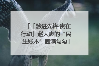 「黔进先锋·贵在行动」赵大志的“民生账本”画满勾勾