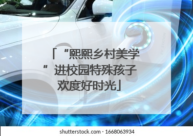 “熙熙乡村美学”进校园特殊孩子欢度好时光