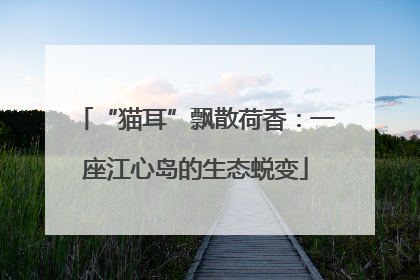 “猫耳”飘散荷香：一座江心岛的生态蜕变