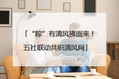“粽”有清风拂面来！五社联动共织清风网