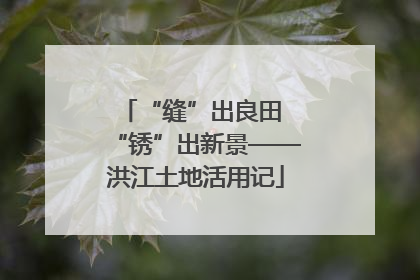 “缝”出良田 “锈”出新景——洪江土地活用记