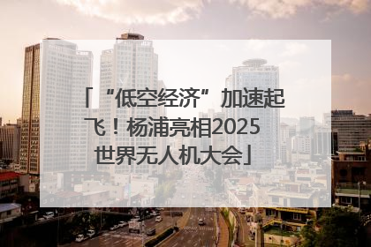 “低空经济”加速起飞！杨浦亮相2025世界无人机大会