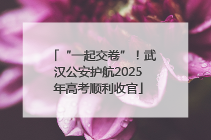 “一起交卷”！武汉公安护航2025年高考顺利收官
