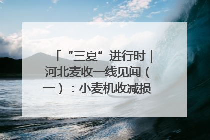 “三夏”进行时｜河北麦收一线见闻（一）：小麦机收减损“竞技” 农机高手麦田“过招”