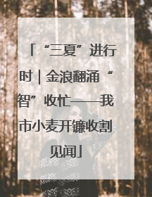 “三夏”进行时｜金浪翻涌“智”收忙——我市小麦开镰收割见闻