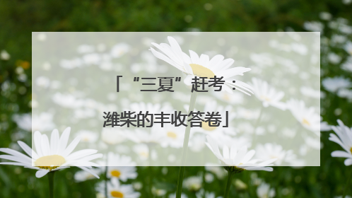 “三夏”赶考：潍柴的丰收答卷