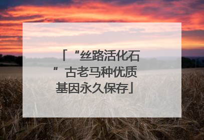 “丝路活化石”古老马种优质基因永久保存