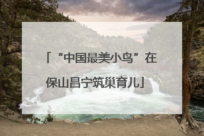 “中国最美小鸟”在保山昌宁筑巢育儿