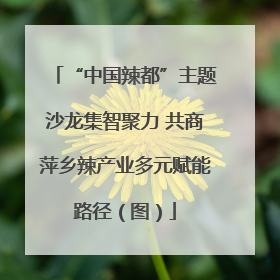 “中国辣都”主题沙龙集智聚力 共商萍乡辣产业多元赋能路径（图）