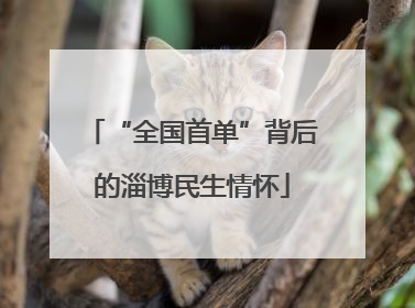 “全国首单”背后的淄博民生情怀
