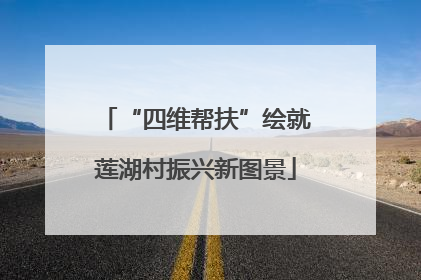 “四维帮扶”绘就莲湖村振兴新图景