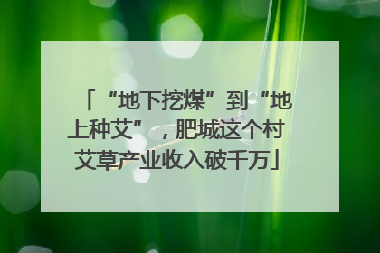 “地下挖煤”到“地上种艾”，肥城这个村艾草产业收入破千万