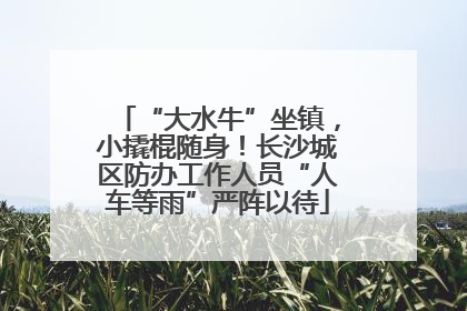 “大水牛”坐镇，小撬棍随身！长沙城区防办工作人员“人车等雨”严阵以待