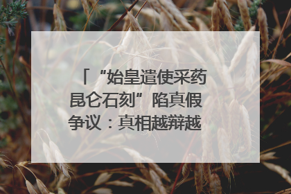 “始皇遣使采药昆仑石刻”陷真假争议：真相越辩越明｜新京报专栏