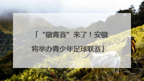 “徽青赛”来了！安徽将举办青少年足球联赛