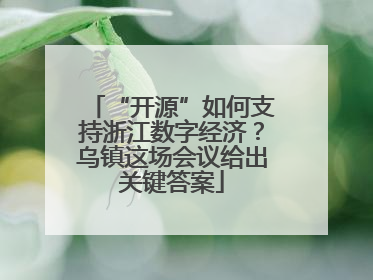 “开源”如何支持浙江数字经济？乌镇这场会议给出关键答案