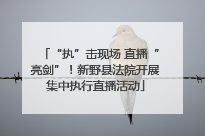 “执”击现场 直播“亮剑”！新野县法院开展集中执行直播活动