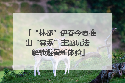 “林都”伊春今夏推出“森系”主题玩法 解锁避暑新体验