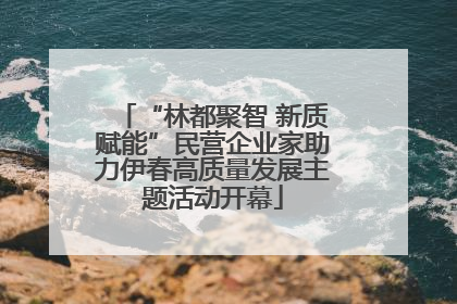 “林都聚智 新质赋能”民营企业家助力伊春高质量发展主题活动开幕