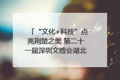 “文化+科技”点亮荆楚之美 第二十一届深圳文博会湖北馆抢“鲜”看