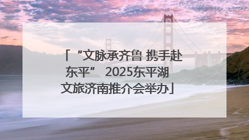 “文脉承齐鲁 携手赴东平” 2025东平湖文旅济南推介会举办