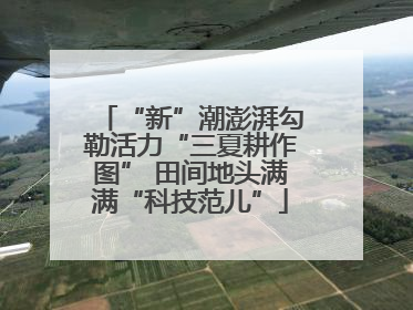 “新”潮澎湃勾勒活力“三夏耕作图” 田间地头满满“科技范儿”