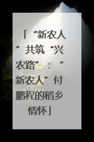 “新农人”共筑“兴农路”：“新农人”付鹏程的稻乡情怀