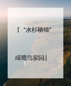 “水杉秘境”成鹭鸟家园