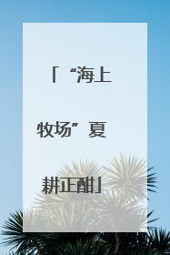 “海上牧场”夏耕正酣