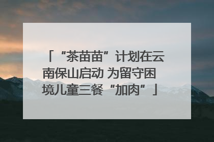 “茶苗苗”计划在云南保山启动 为留守困境儿童三餐“加肉”