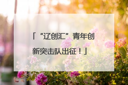 “辽创汇”青年创新突击队出征！