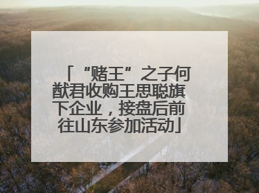 “赌王”之子何猷君收购王思聪旗下企业，接盘后前往山东参加活动