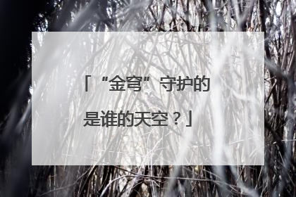 “金穹”守护的是谁的天空？