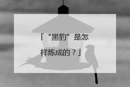 “黑豹”是怎样炼成的？