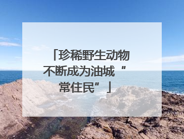 珍稀野生动物不断成为油城“常住民”
