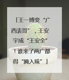 王一博变“广西表哥”，王安宇成“王安全”！谁来了两广都得“腌入味”