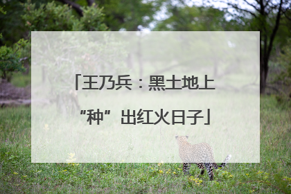 王乃兵：黑土地上“种”出红火日子