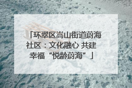 环翠区嵩山街道蔚海社区：文化融心 共建幸福“悦龄蔚海”