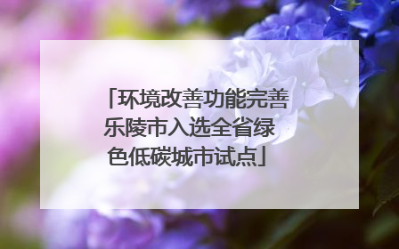 环境改善功能完善 乐陵市入选全省绿色低碳城市试点