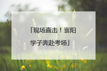 现场直击！襄阳学子奔赴考场