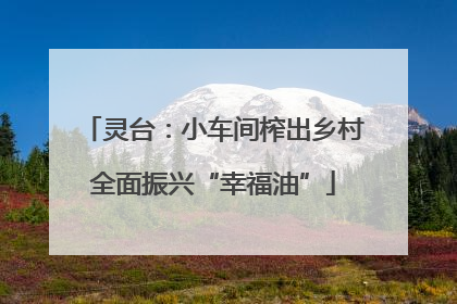 灵台：小车间榨出乡村全面振兴“幸福油”