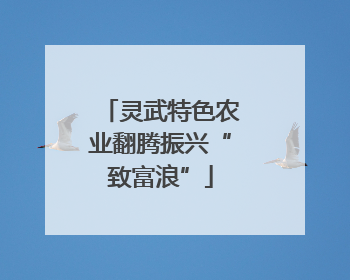 灵武特色农业翻腾振兴“致富浪”