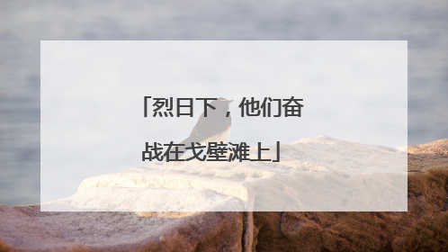 烈日下，他们奋战在戈壁滩上