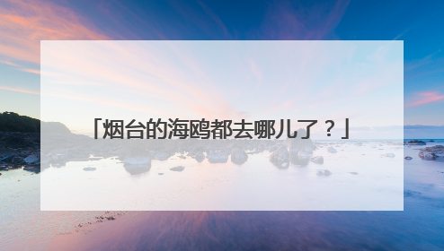 烟台的海鸥都去哪儿了？