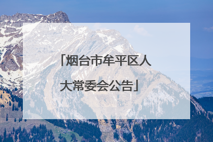 烟台市牟平区人大常委会公告