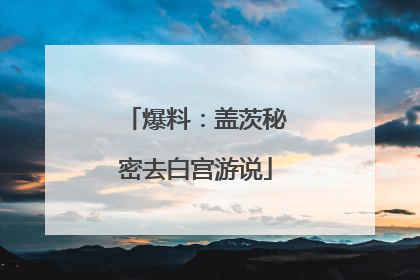 爆料：盖茨秘密去白宫游说